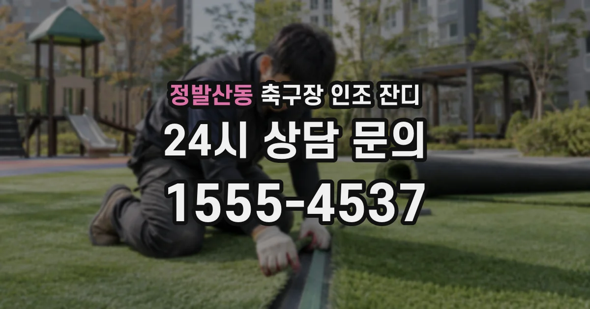 정발산동 축구장 인조 잔디