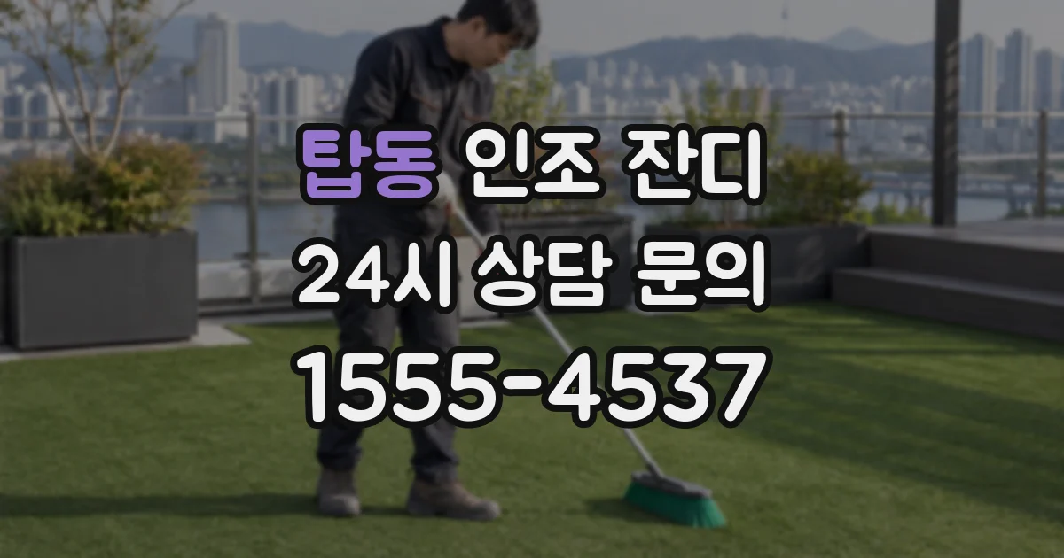 탑동 인조 잔디