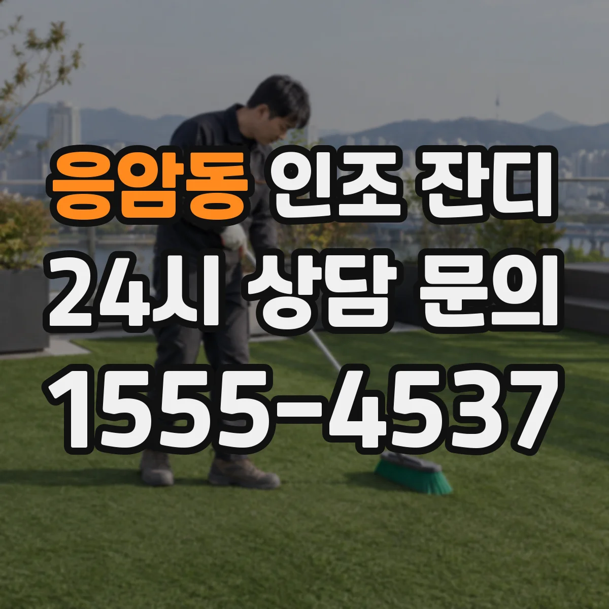 응암동 인조 잔디