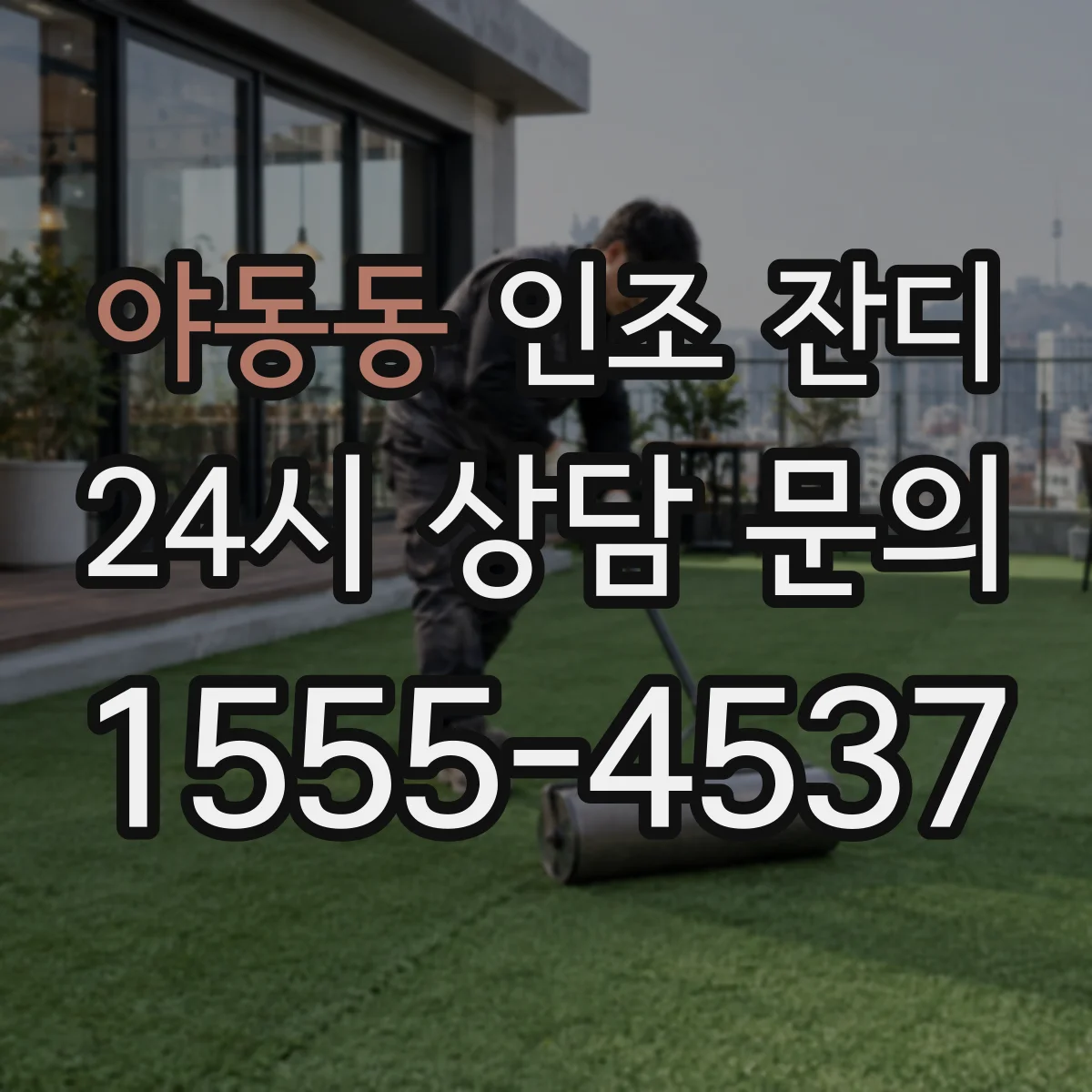 야동동 인조 잔디