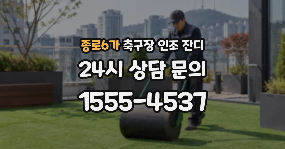 종로6가 축구장 인조 잔디