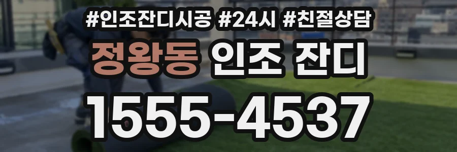 정왕동 인조 잔디