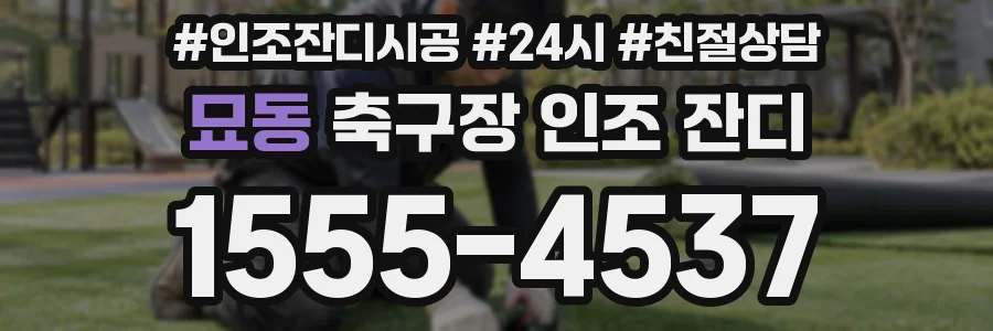묘동 축구장 인조 잔디