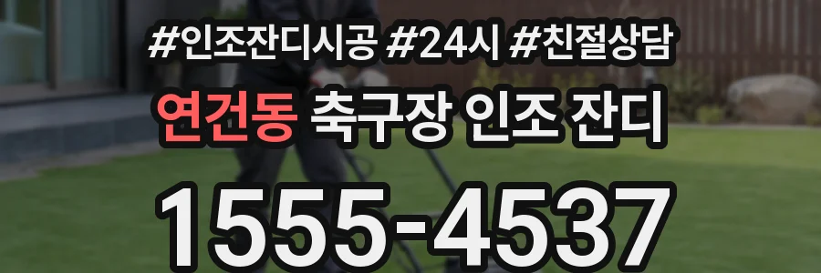 연건동 축구장 인조 잔디