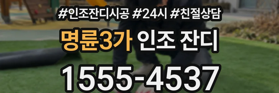 명륜3가 인조 잔디