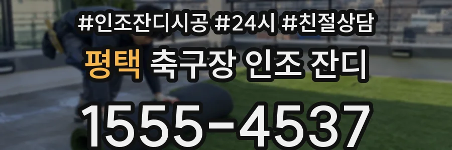 평택 축구장 인조 잔디