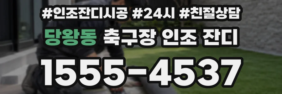 당왕동 축구장 인조 잔디