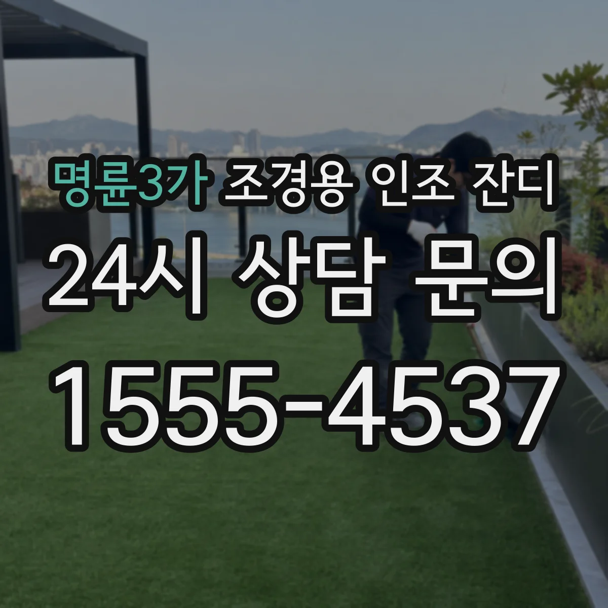명륜3가 조경용 인조 잔디