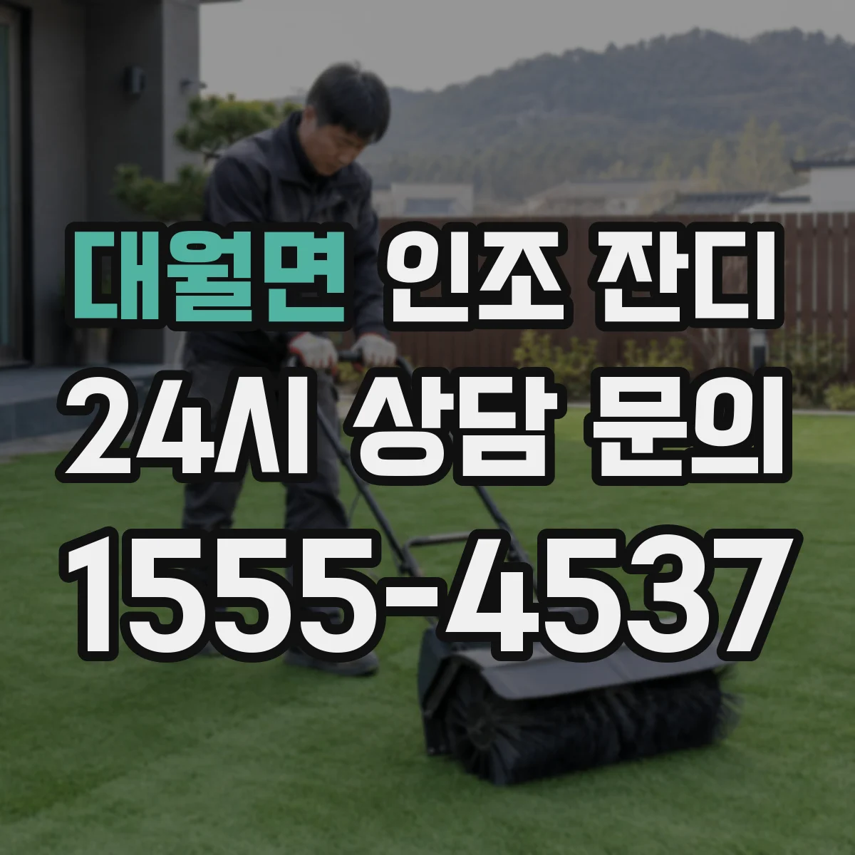 대월면 인조 잔디