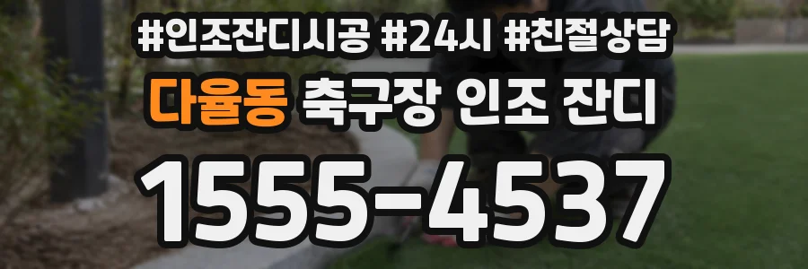 다율동 축구장 인조 잔디