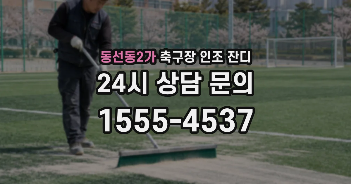 동선동2가 축구장 인조 잔디