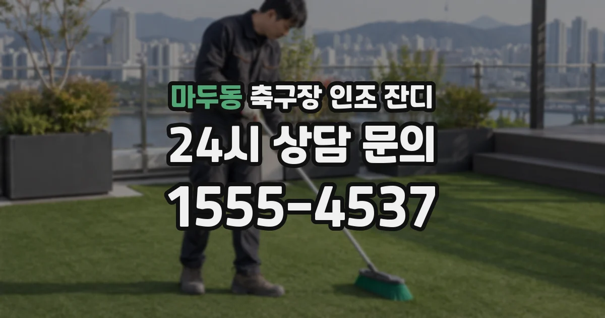 마두동 축구장 인조 잔디