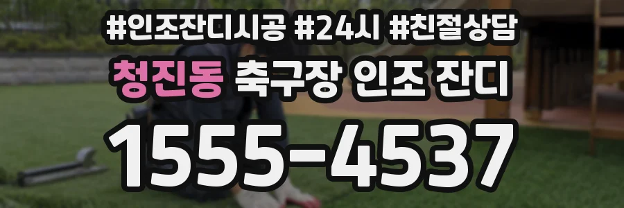 청진동 축구장 인조 잔디