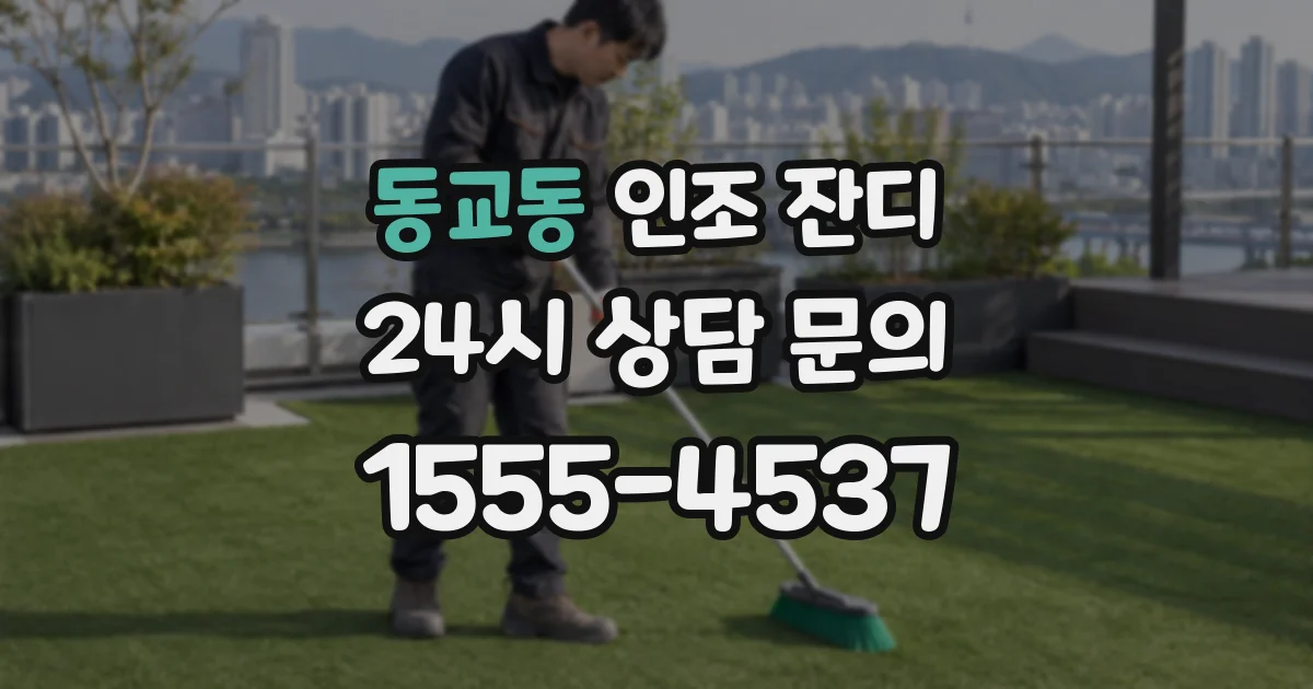 동교동 인조 잔디