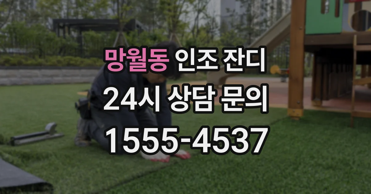 망월동 인조 잔디