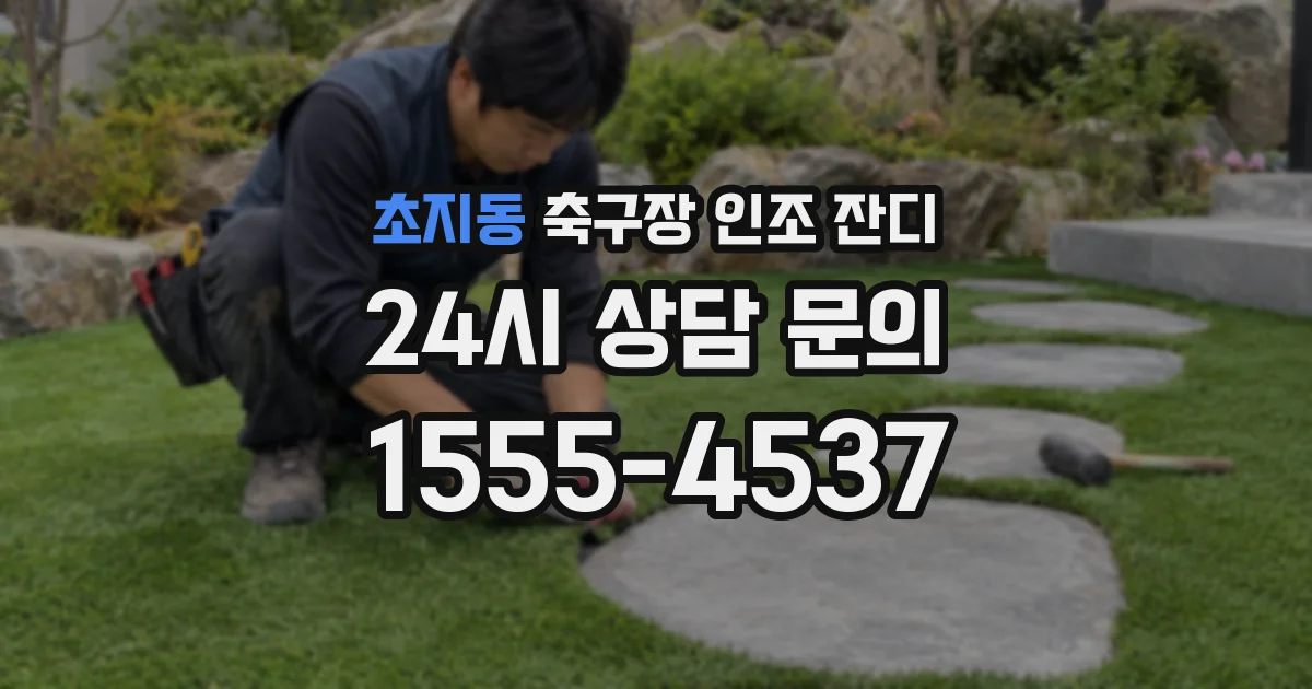 초지동 축구장 인조 잔디