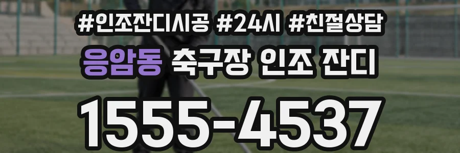 응암동 축구장 인조 잔디