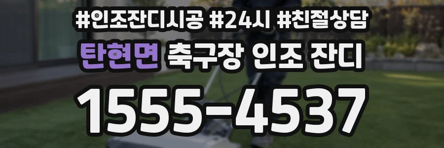 탄현면 축구장 인조 잔디