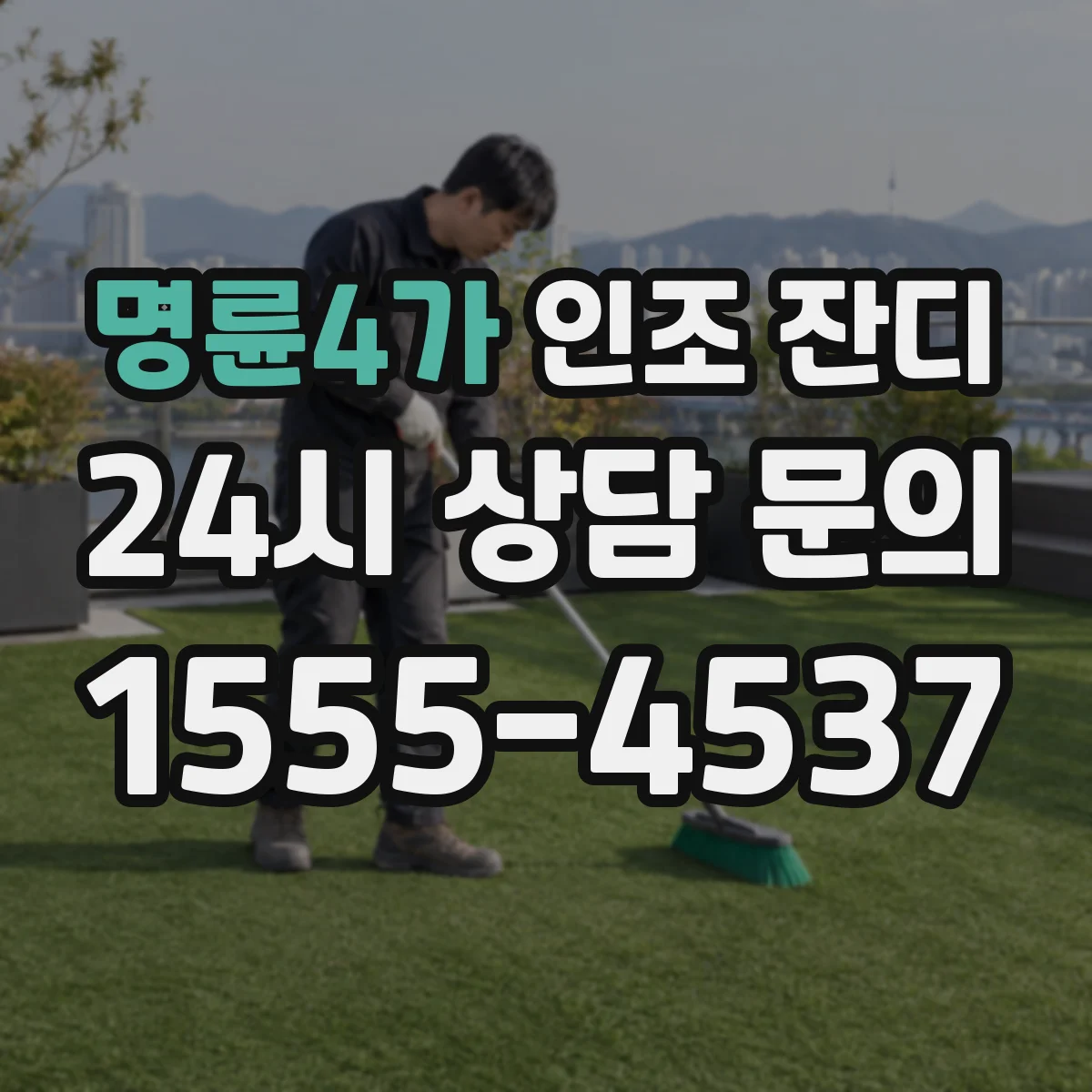 명륜4가 인조 잔디