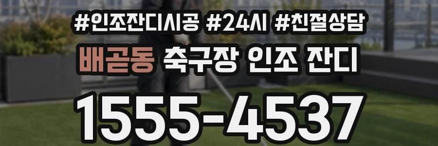 배곧동 축구장 인조 잔디