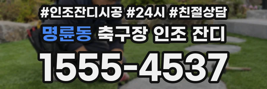 명륜동 축구장 인조 잔디