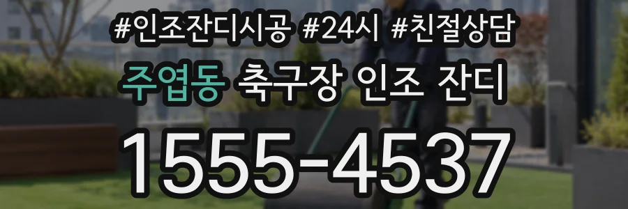 주엽동 축구장 인조 잔디