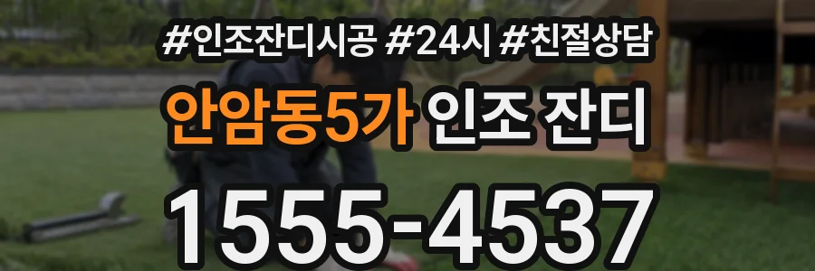 안암동5가 인조 잔디