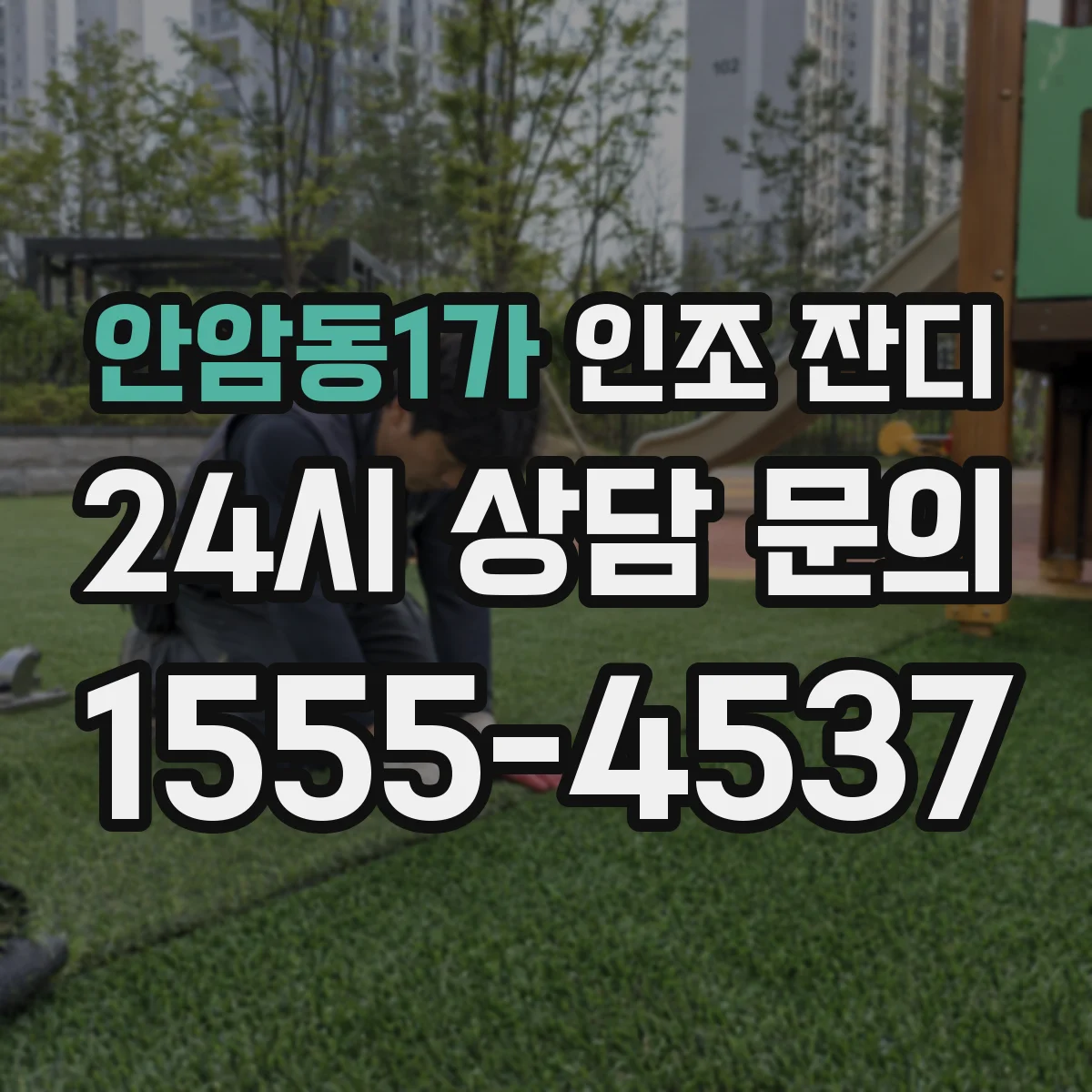 안암동1가 인조 잔디