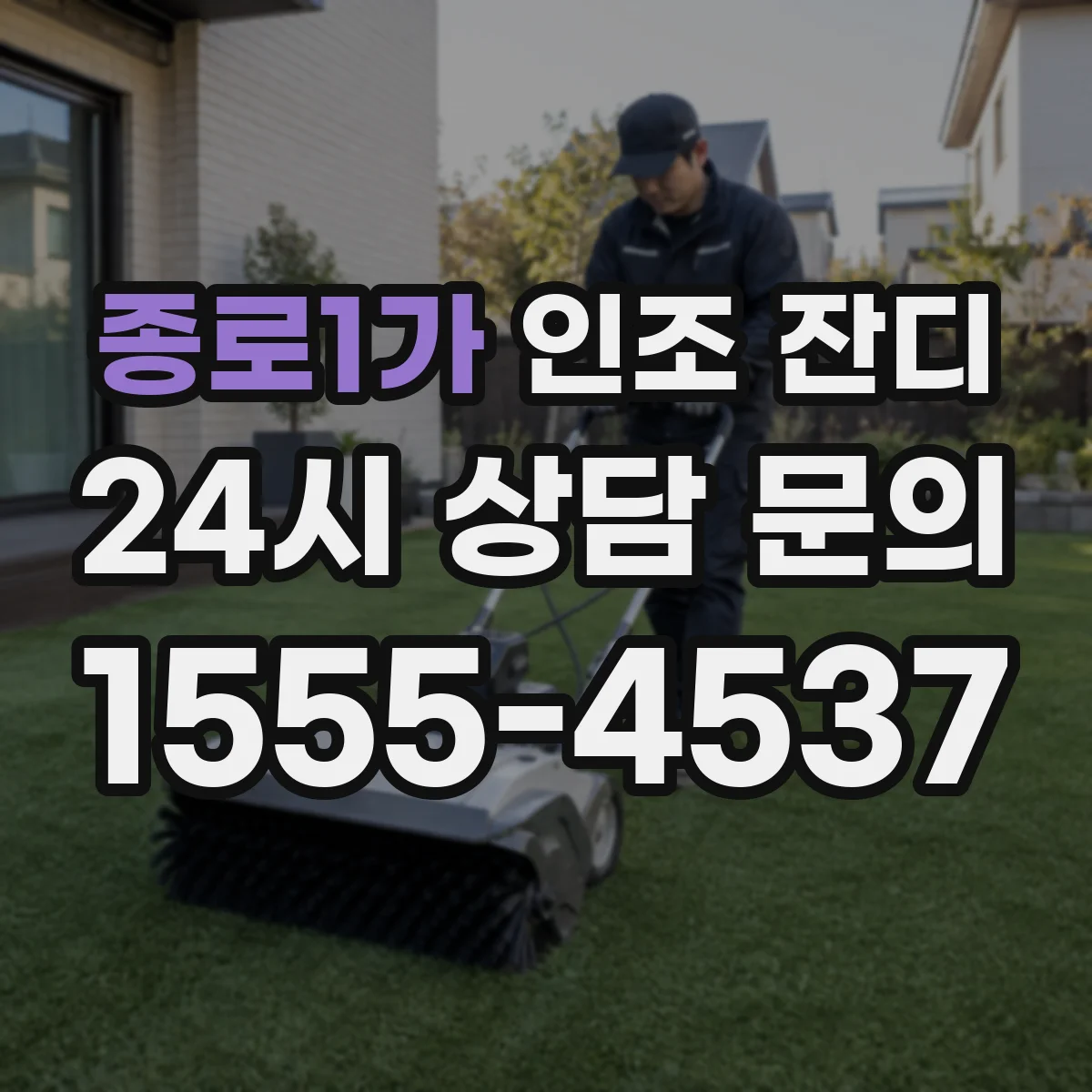 종로1가 인조 잔디