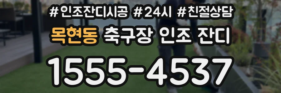 목현동 축구장 인조 잔디