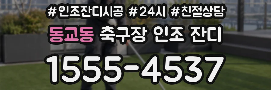 동교동 축구장 인조 잔디