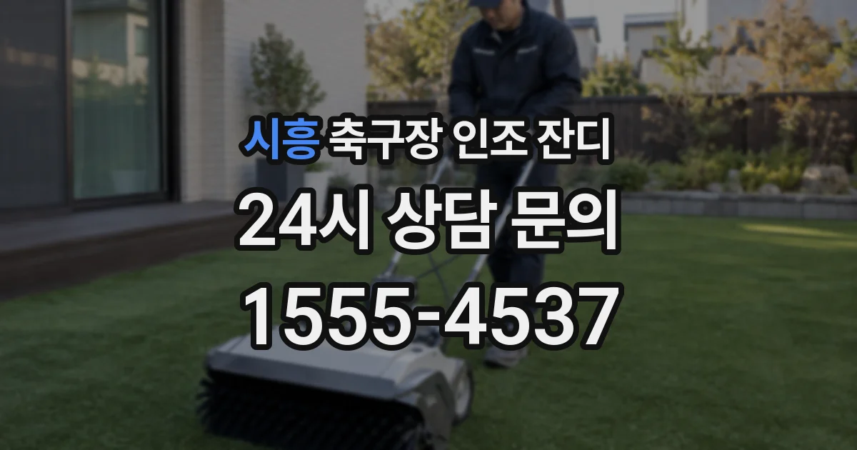 시흥 축구장 인조 잔디