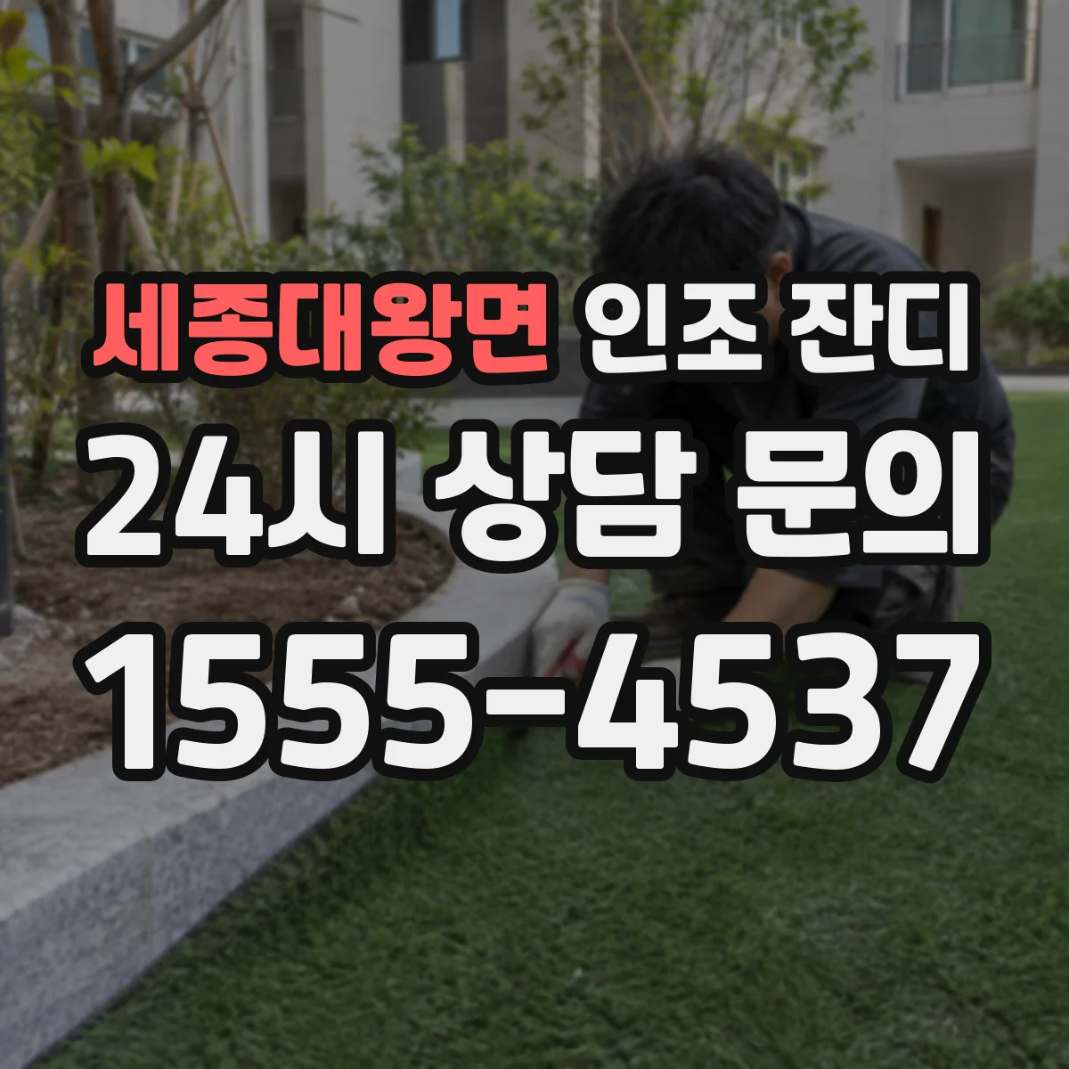 세종대왕면 인조 잔디