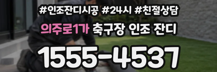 의주로1가 축구장 인조 잔디