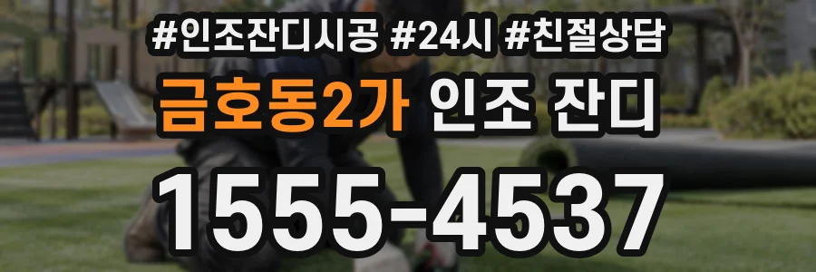 금호동2가 인조 잔디