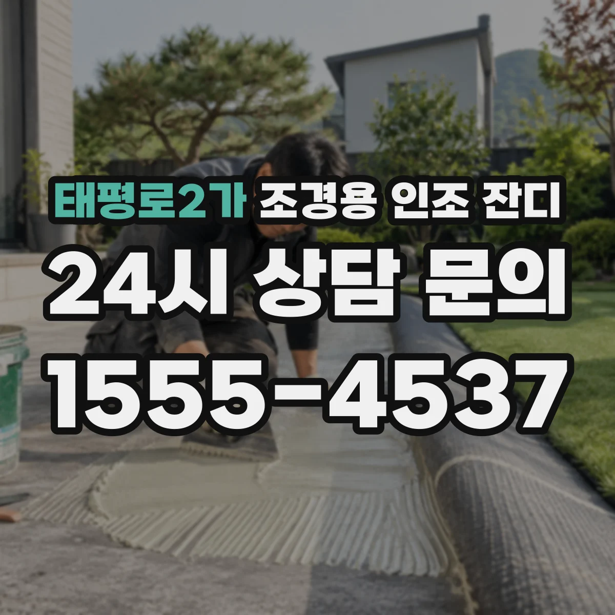 태평로2가 조경용 인조 잔디