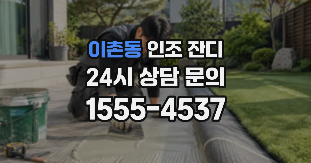 이촌동 인조 잔디