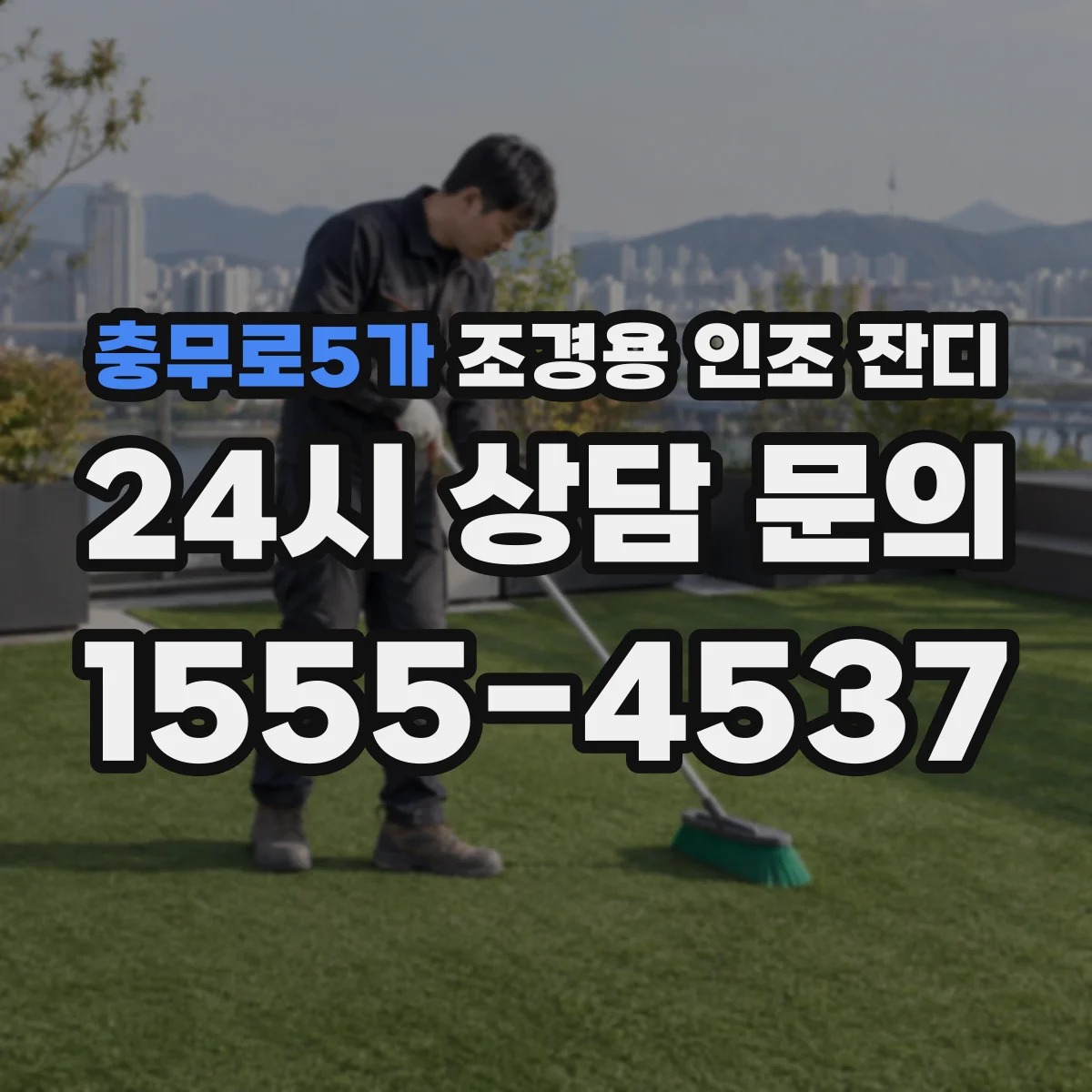 충무로5가 조경용 인조 잔디