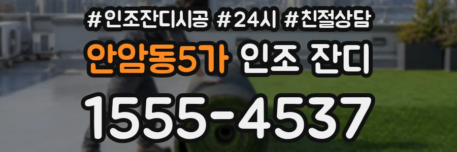 안암동5가 인조 잔디