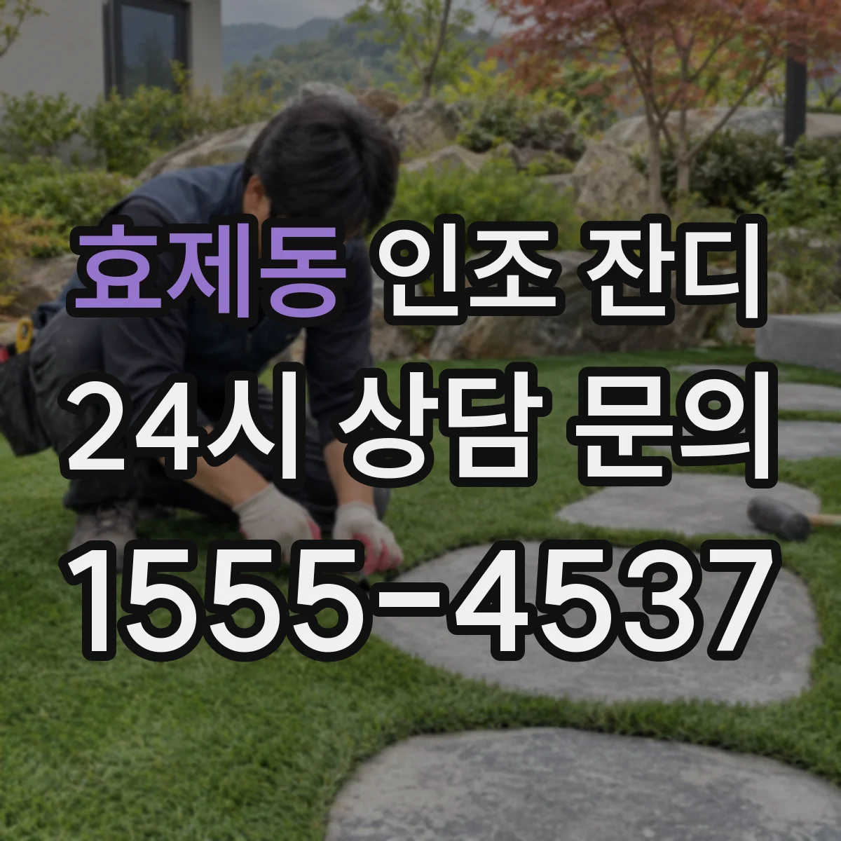 효제동 인조 잔디