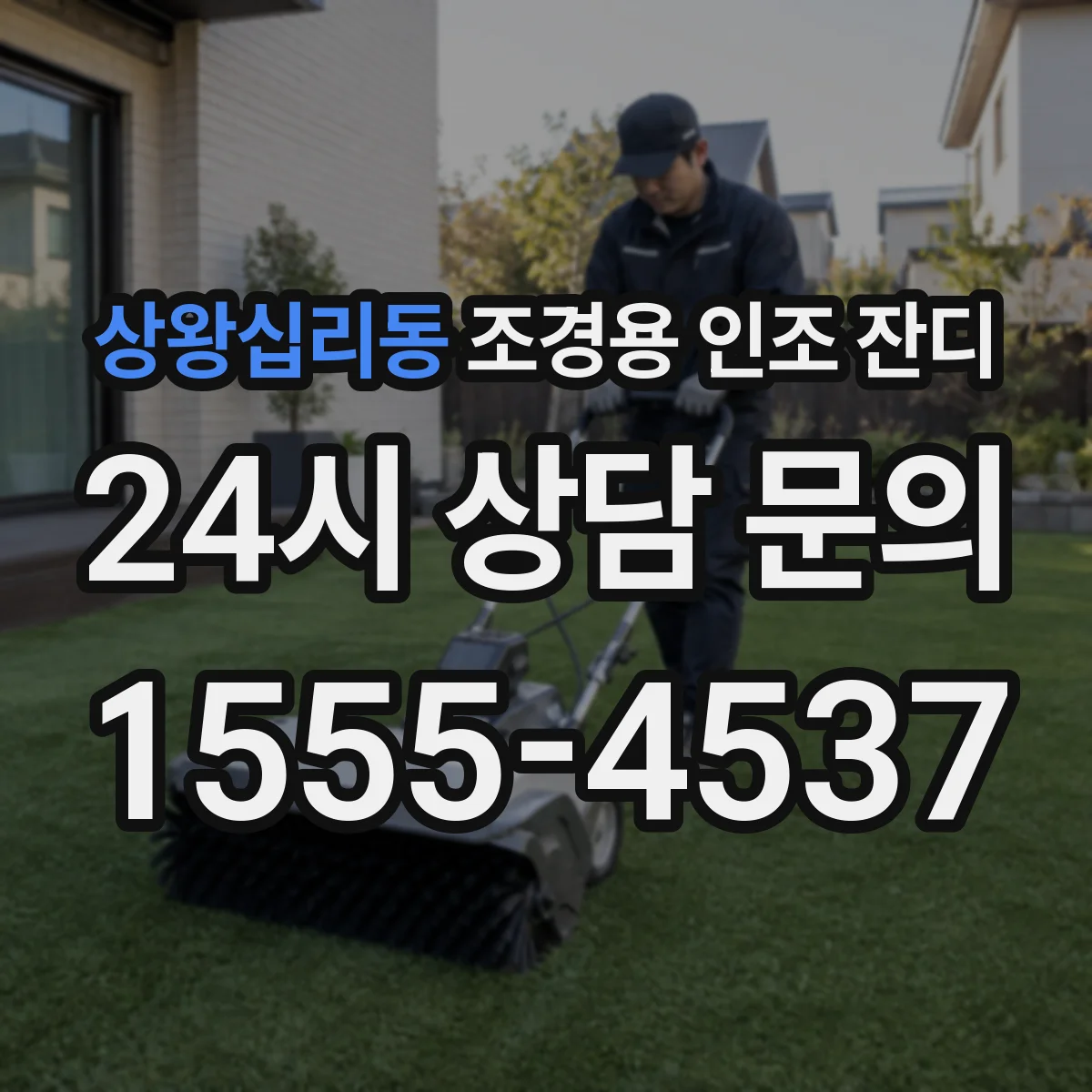 상왕십리동 조경용 인조 잔디