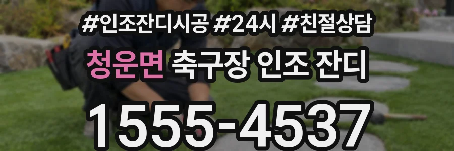 청운면 축구장 인조 잔디