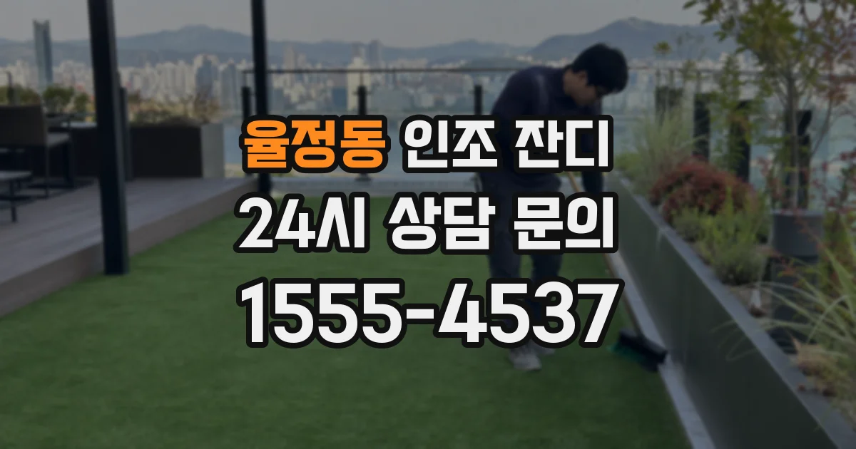 율정동 인조 잔디