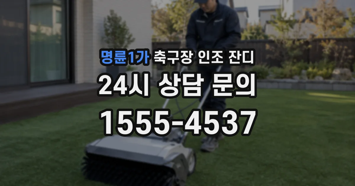 명륜1가 축구장 인조 잔디
