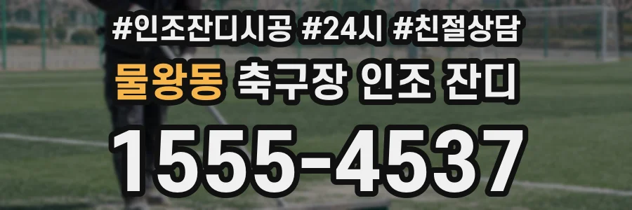 물왕동 축구장 인조 잔디