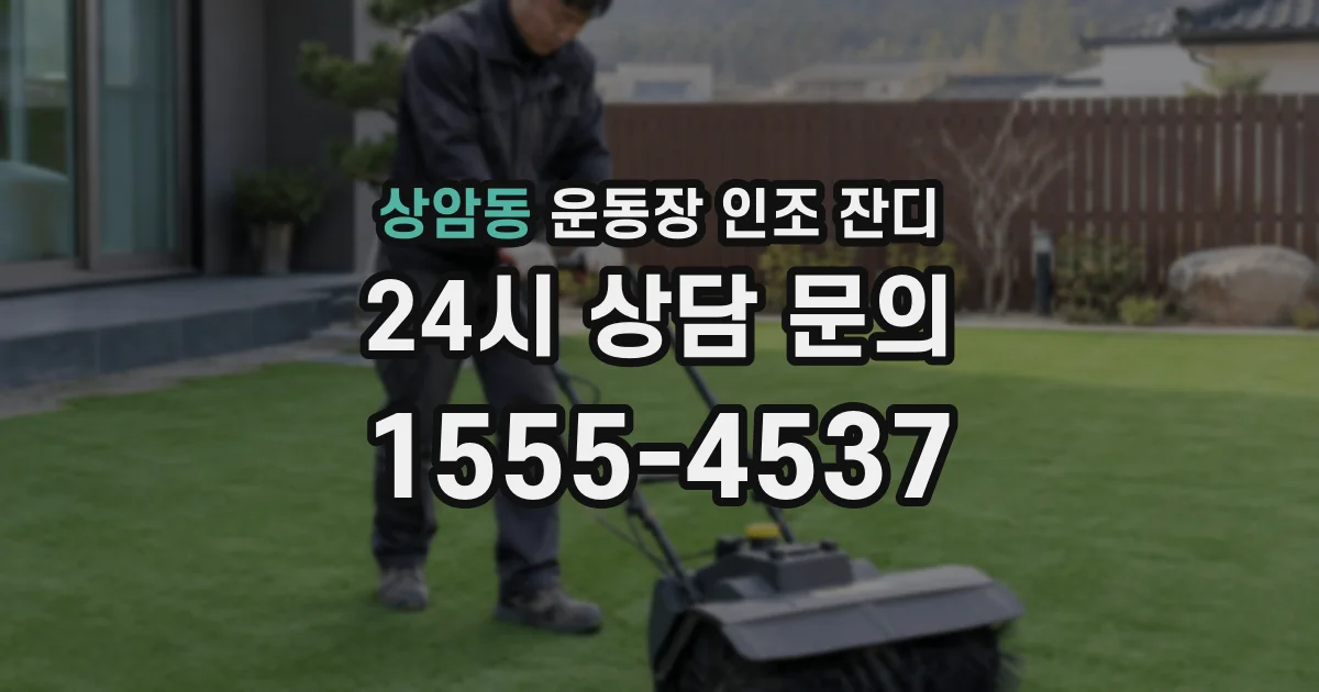 상암동 운동장 인조 잔디
