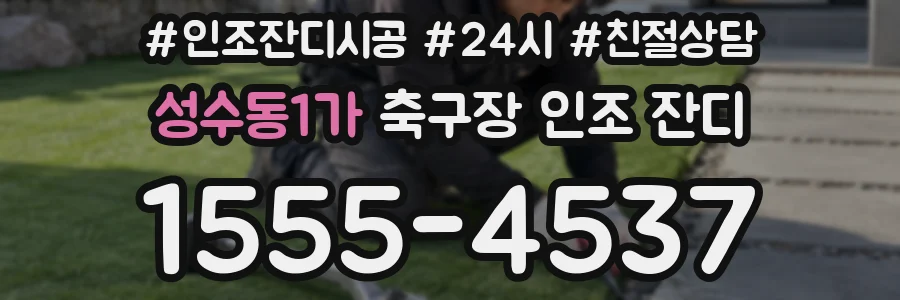 성수동1가 축구장 인조 잔디