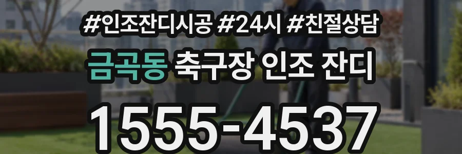 금곡동 축구장 인조 잔디