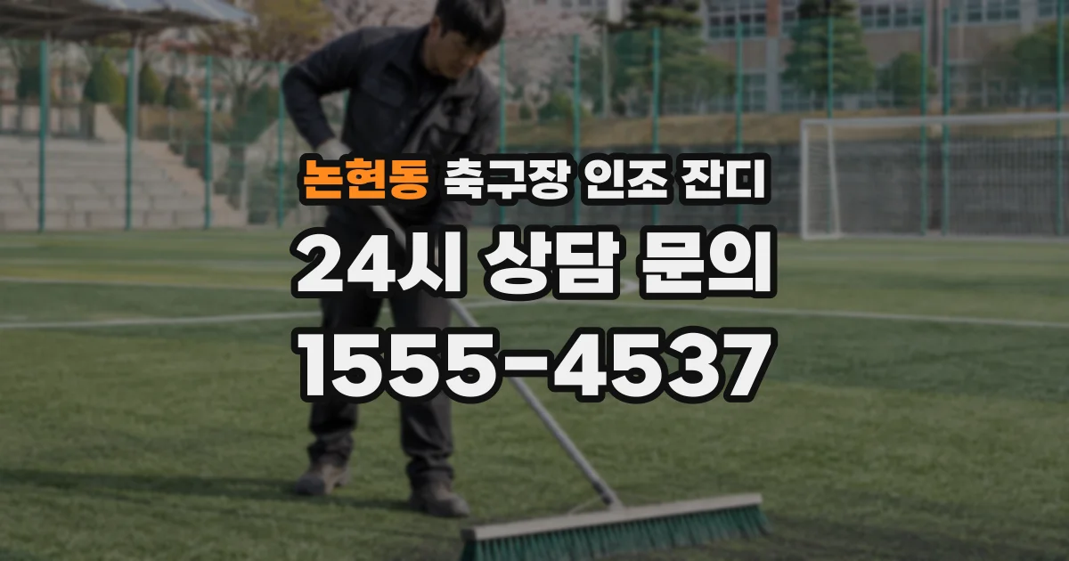 논현동 축구장 인조 잔디
