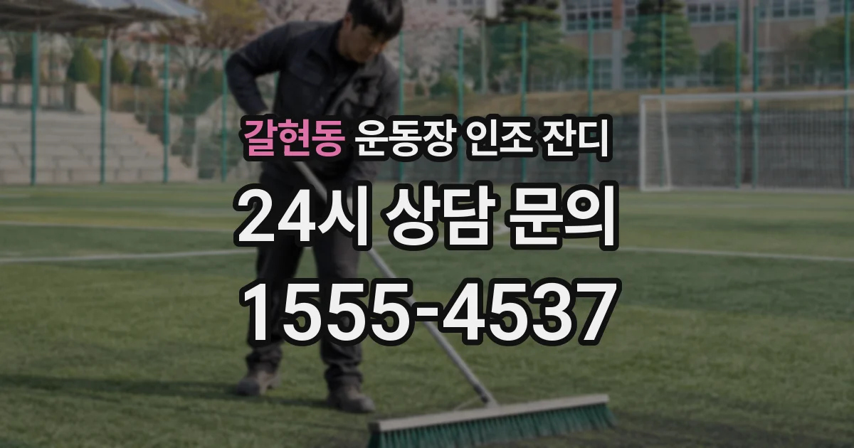 갈현동 운동장 인조 잔디